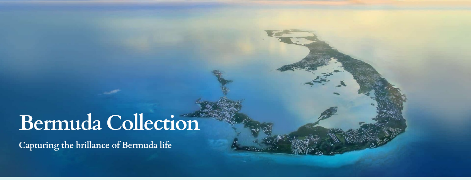collection-banner-image