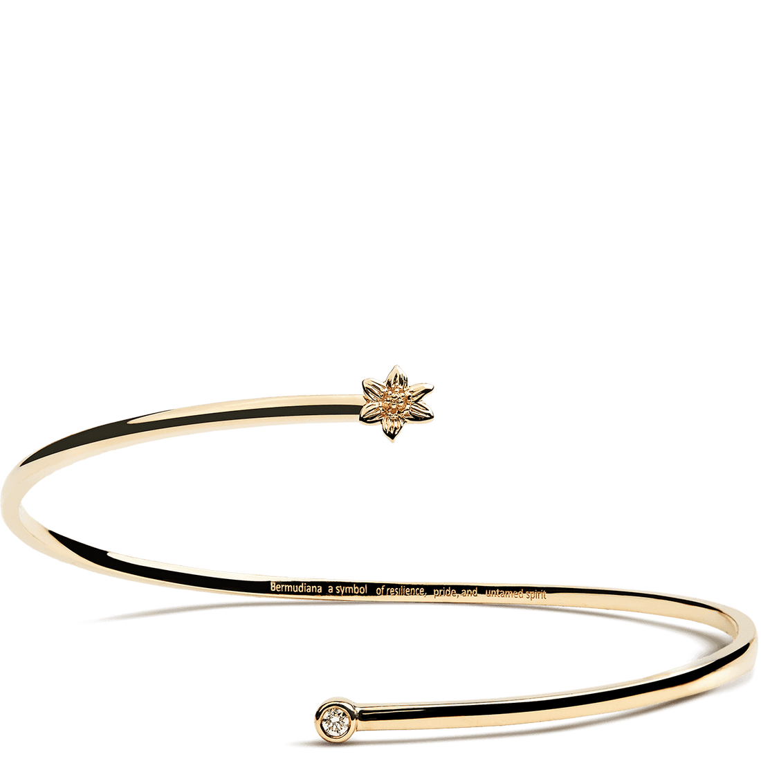 Bermudiana Cuff - Davidrose Studio