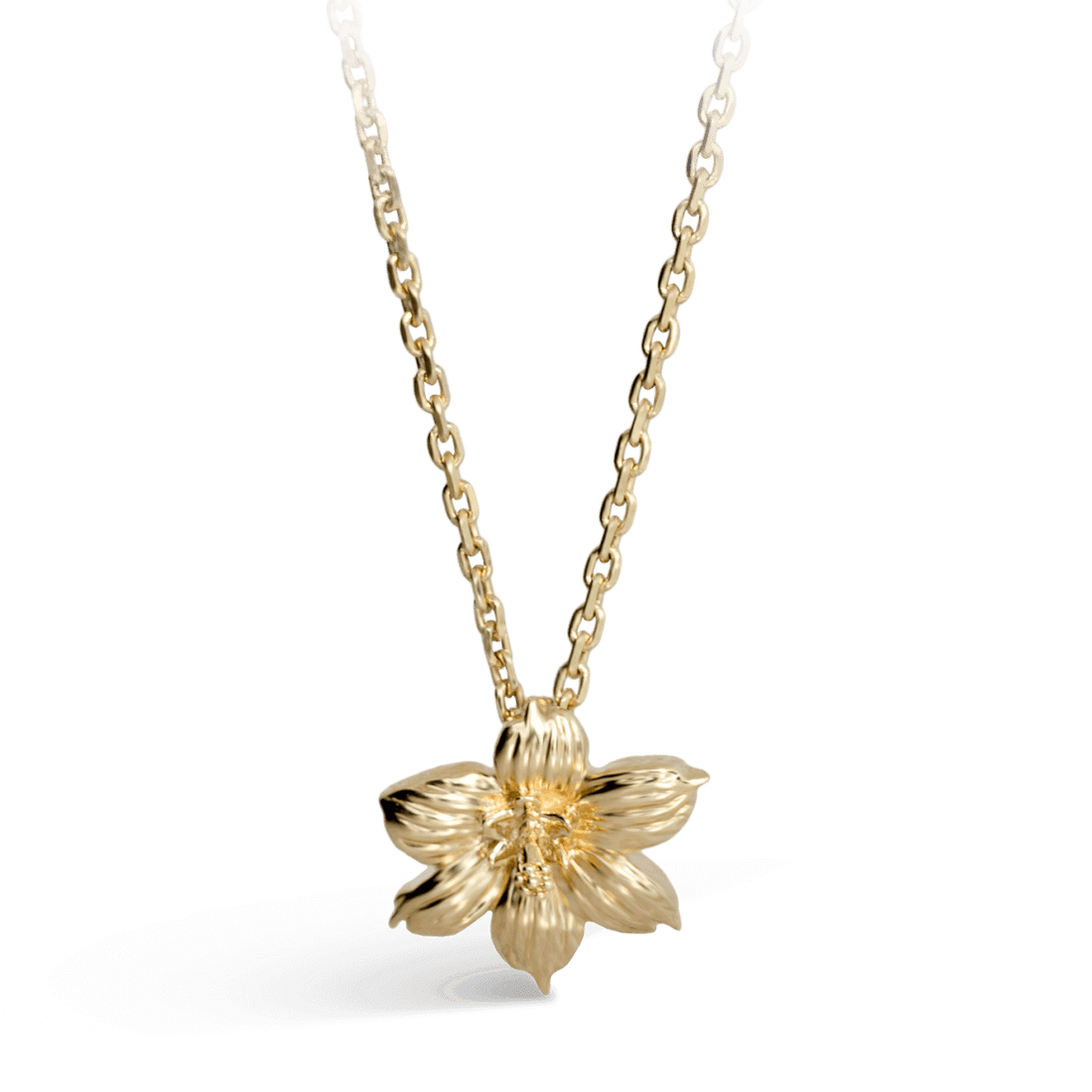 Bermudiana Pendant - Davidrose Studio