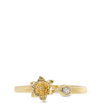 Yellow Gold Bermudiana Ring