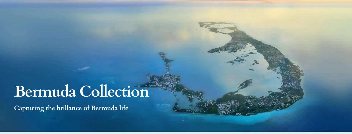 collection-banner-image