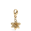 Bermudiana Charm - Davidrose Studio