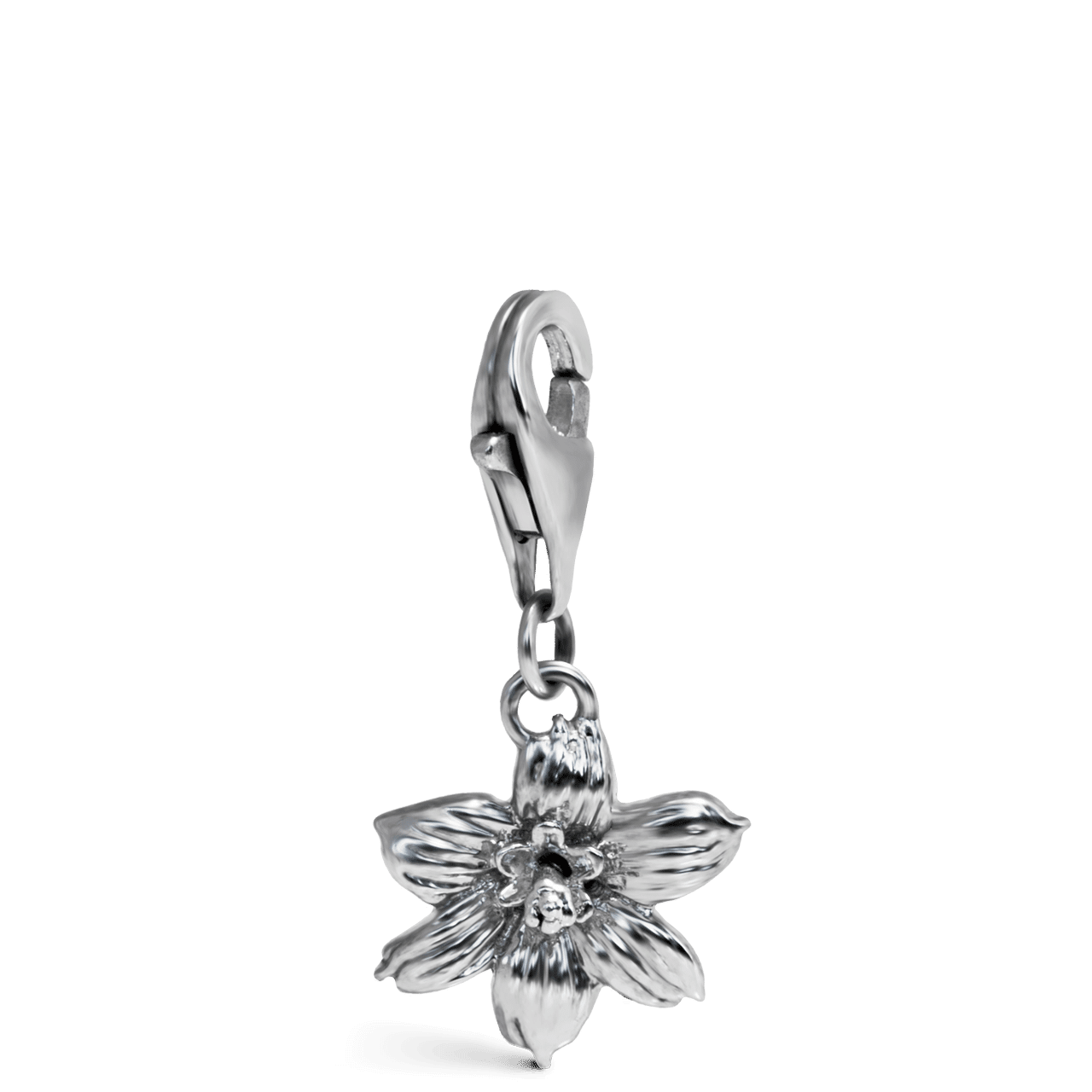 Bermudiana Charm - Davidrose Studio