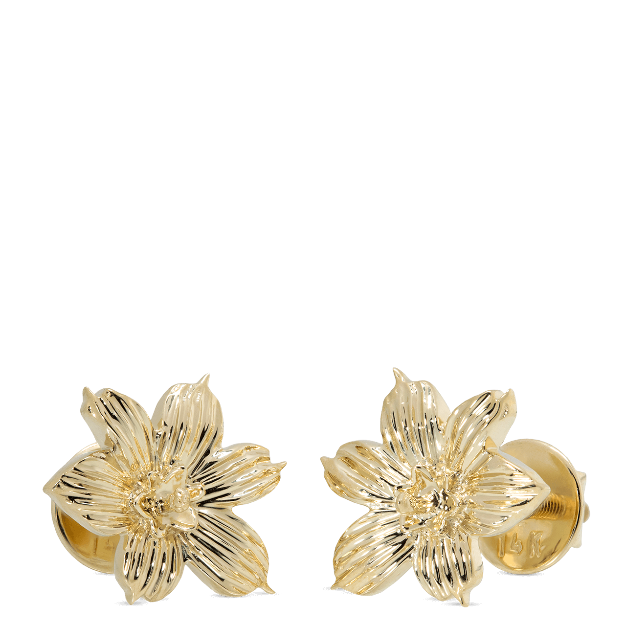 Bermudiana Earrings - Davidrose Studio