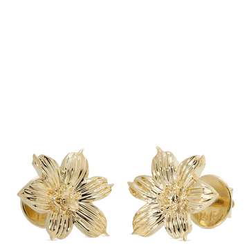 Bermudiana Earrings - Davidrose Studio