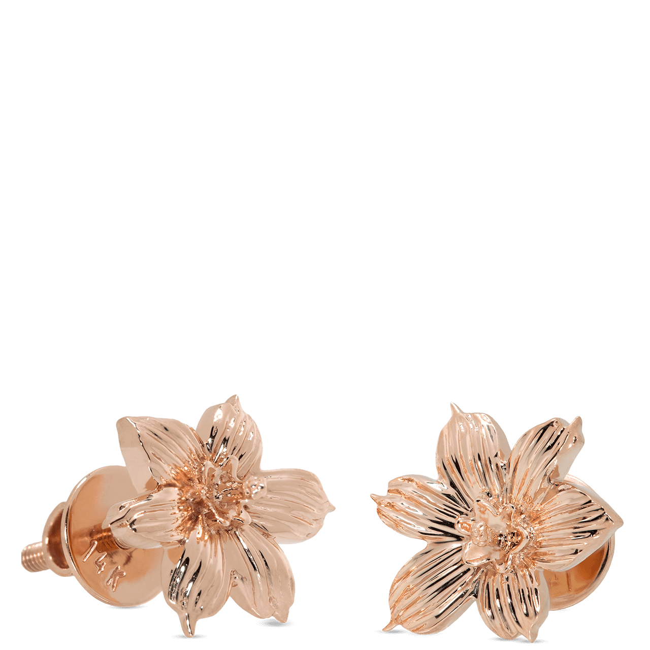 Bermudiana Earrings - Davidrose Studio